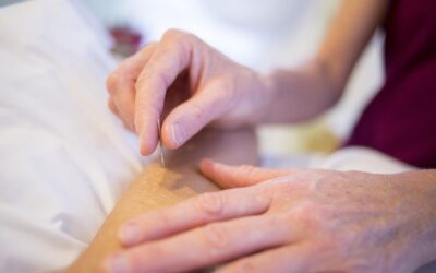 Supporting Digestive Comfort with Acupuncture in Scottsdale